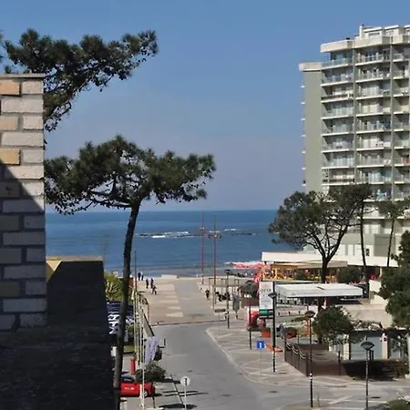 Sea And Pinewood Ofir *