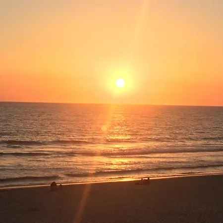 Sea And Pinewood Ofir Apartment Fao