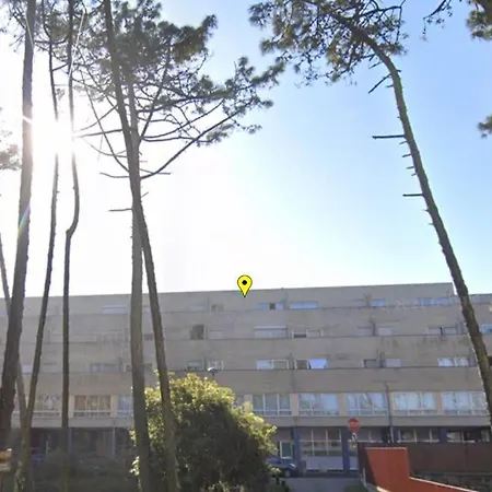 Sea And Pinewood Ofir Fão