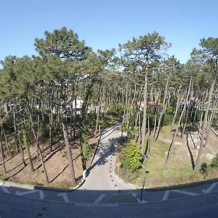 Apartment Sea And Pinewood Ofir