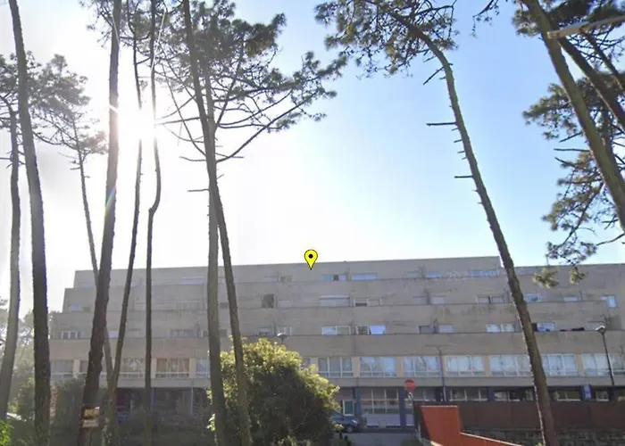 Sea And Pinewood Ofir Fao