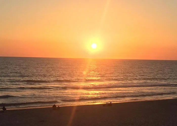 Sea And Pinewood Ofir 公寓 Fão