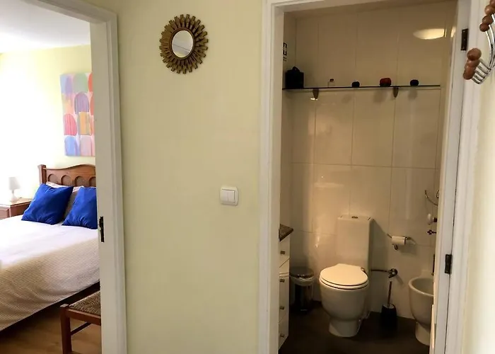 Sea And Pinewood Ofir