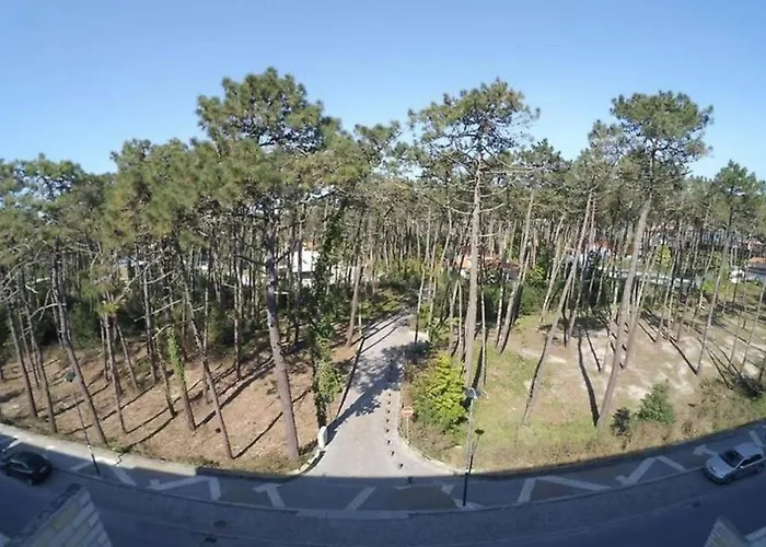 Apartamento Sea And Pinewood Ofir